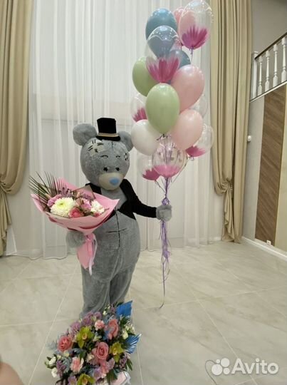 Аниматор Тедди