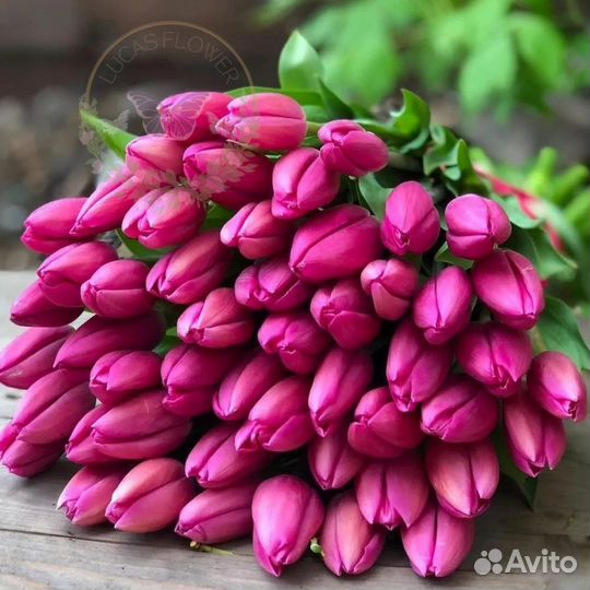 Тюльпаны букет доставка