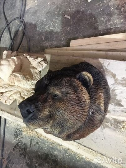 Голова Медведя