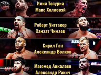 UFC 308 юфс Абу Даби