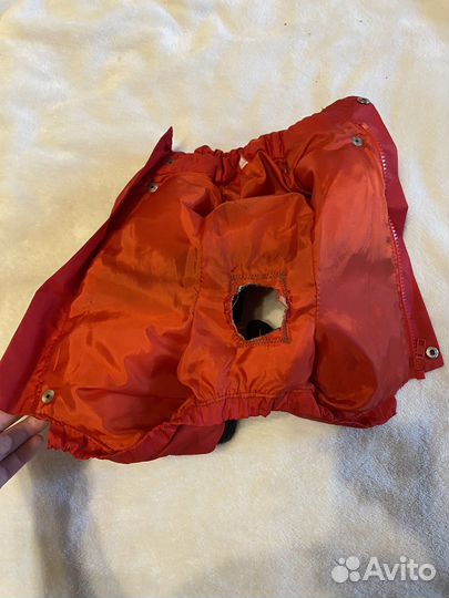 Одежда для собак