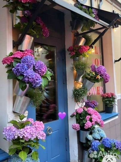 Искусственное озеленение Оформление входа ресторан