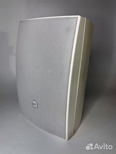 Quad Q5T настенная колонка для кафе, магазина