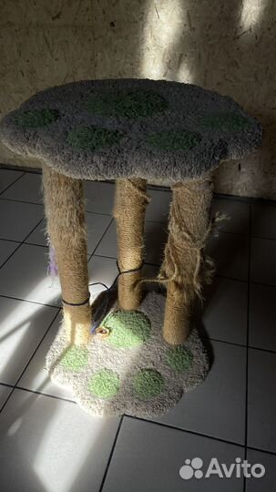 Когтеточка б/у