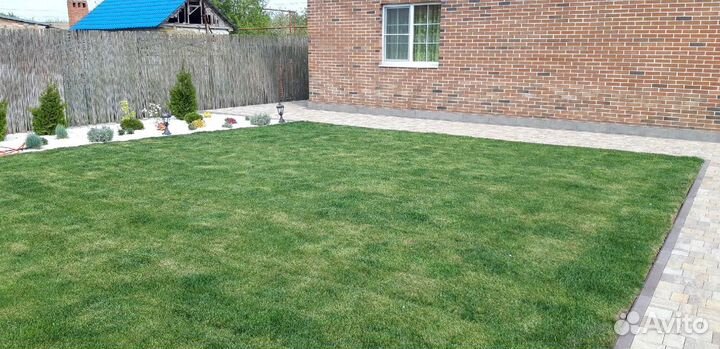 Рулонный газон под ключ