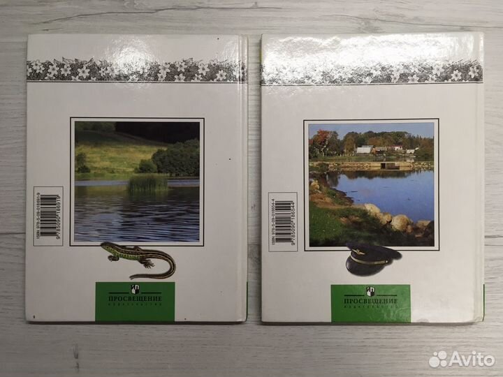 Учебники Окружающий мир 2 класс Плешаков А. А