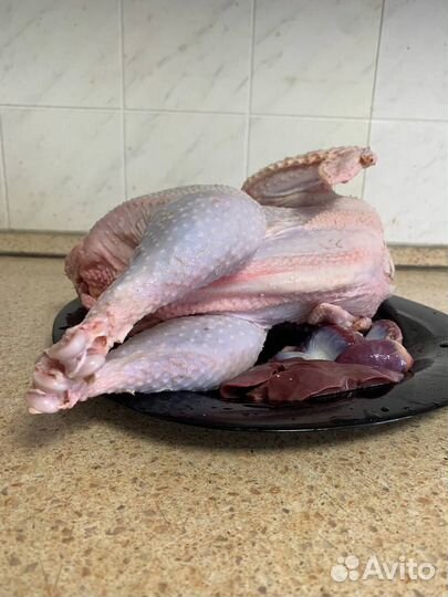 Петух домашний. Тушка. Доставка на дом