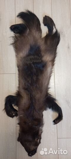 Шкура росомахи целиковая