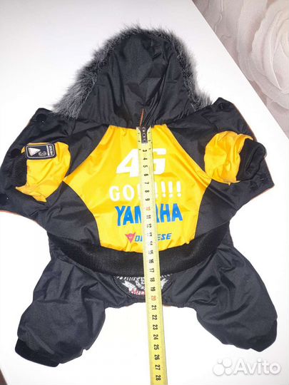 Одежда для собак