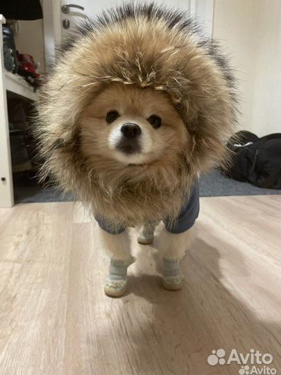 Вязка