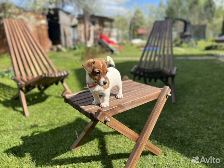 Кентукки