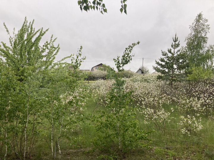 Участок 4 сот. (СНТ, ДНП)