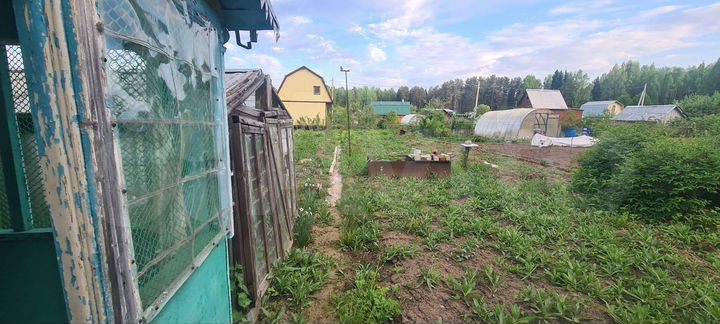 Участок 4,3 сот. (СНТ, ДНП)