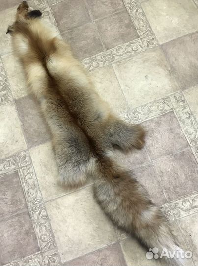 Шкурка животного