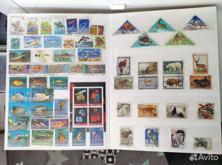 Марки, тематика фауна