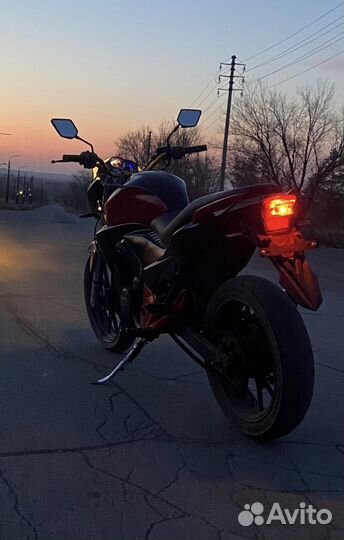Winner 250