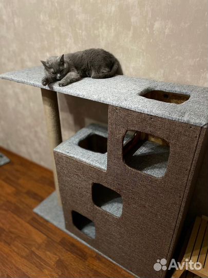 Кошачий Домик с когтеточкой