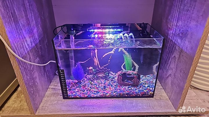 Аквариум с рыбками