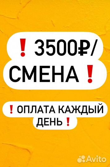 Упаковщик Фасовщик/Оплата ежедневно