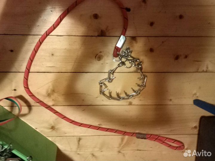 Амуниция для собак