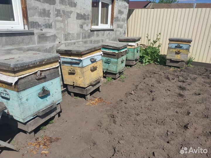 Ульи для пчел 14 рамочные