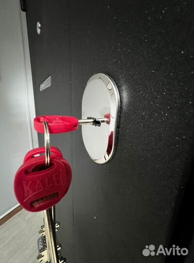 Качественная входная дверь с установкой