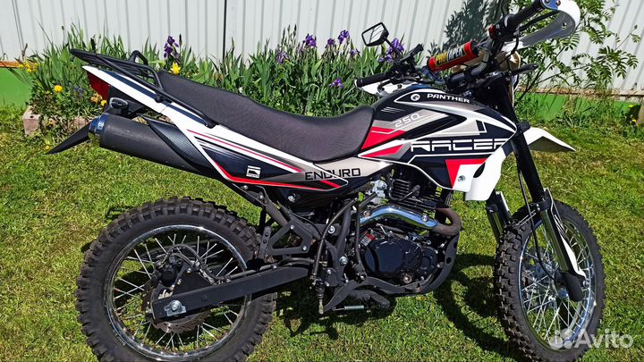 Raser panthera 250