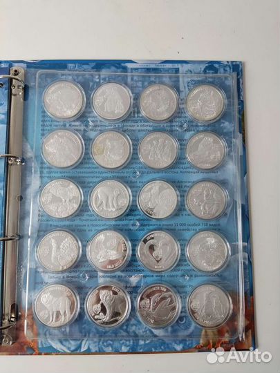 Коллекция монет 