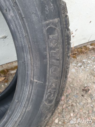 Tigar Ice 205/55 R16