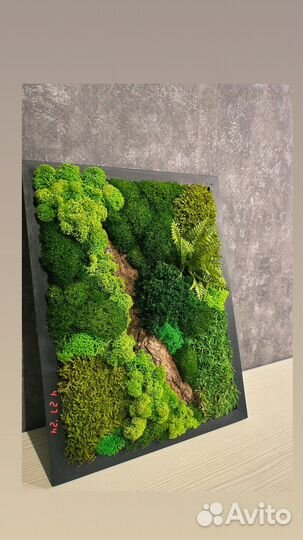 Панно из мха