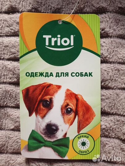 Одежда для собак