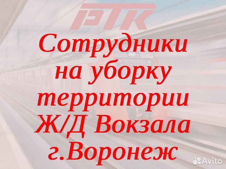 Дворники на Ж/Д Вокзал г. Воронеж