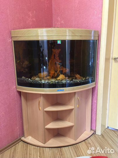 Аквариум