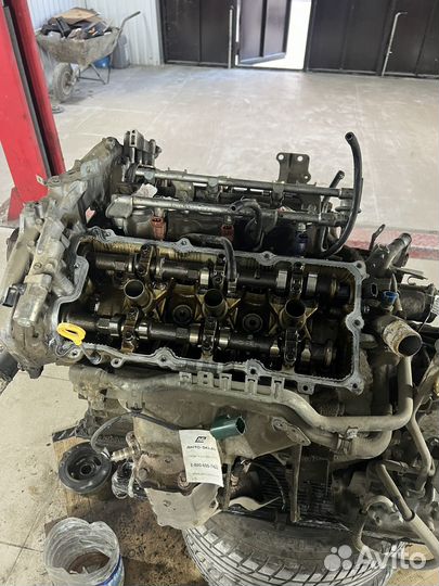 Двигатель на nissan teana j31