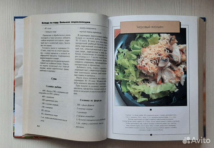 Новая Большая энциклопедия 