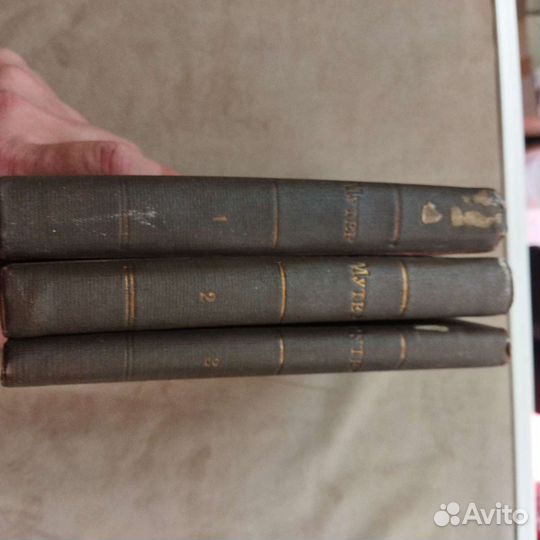 Царские книги История живописи