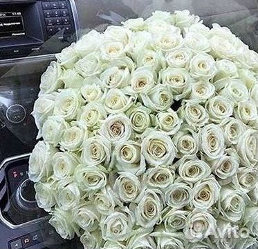 Высокие Розы Гиганты Доставка Круглосуточно