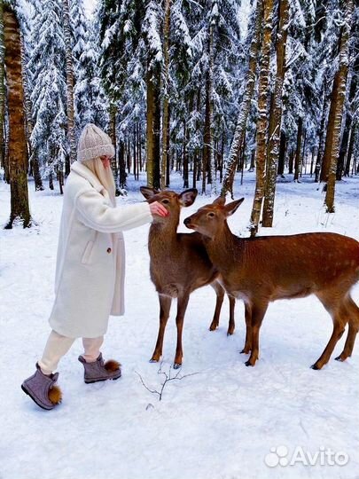 Отпуск в Карелии, 5 дней, Зимние хиты
