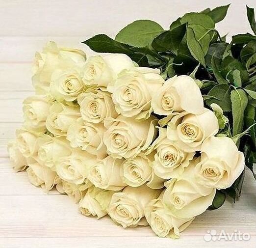 51 Роза, Букеты Цветы Розы 25 101 501 1001