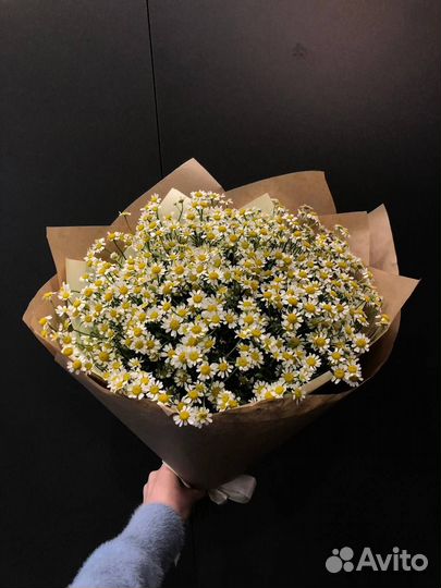 Букет из 31 ромашки