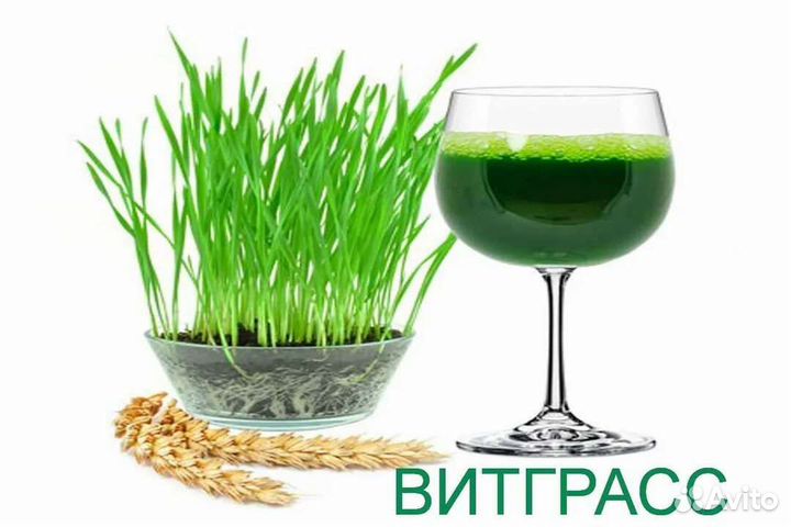 Витграсс натуральные витамины