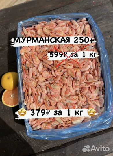 Креветка северная 250+