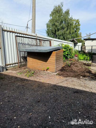 Собачья будка