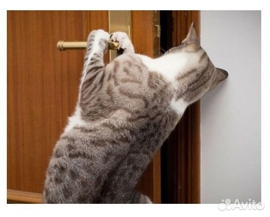 Вскрытие Замков, Замена Замков, Установка и Ремонт