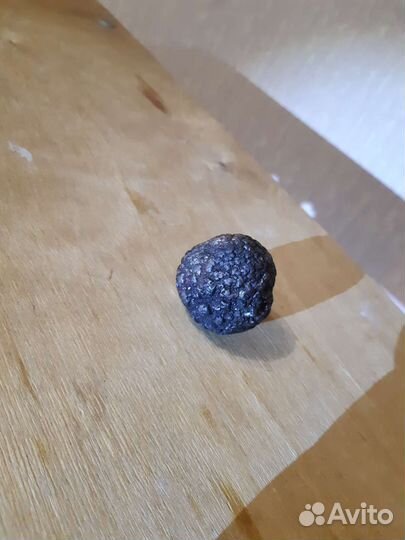 Коллекция особо древних метеоритов и ископаемых