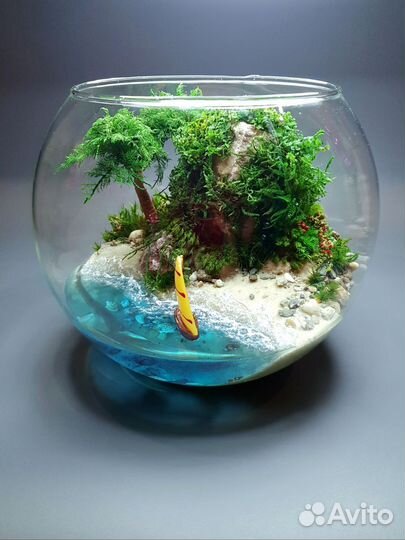 Моссариум (флорариум). Декор. Подарок