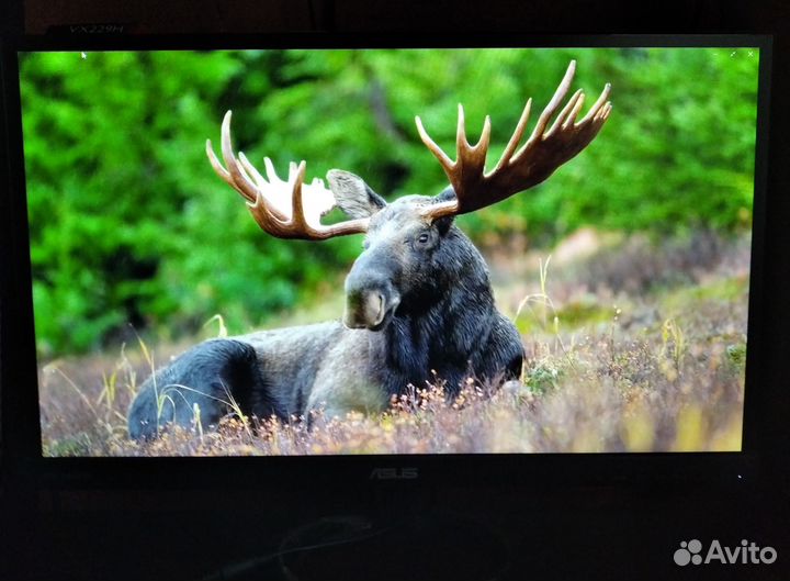 Монитор Asus VX229 75Гц (в идеале)