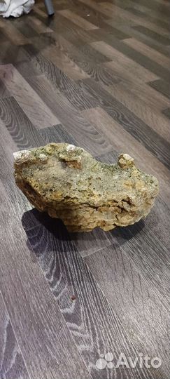 Песчанник и грунт