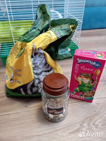 Две клетки и все хомячьи радости впридачу