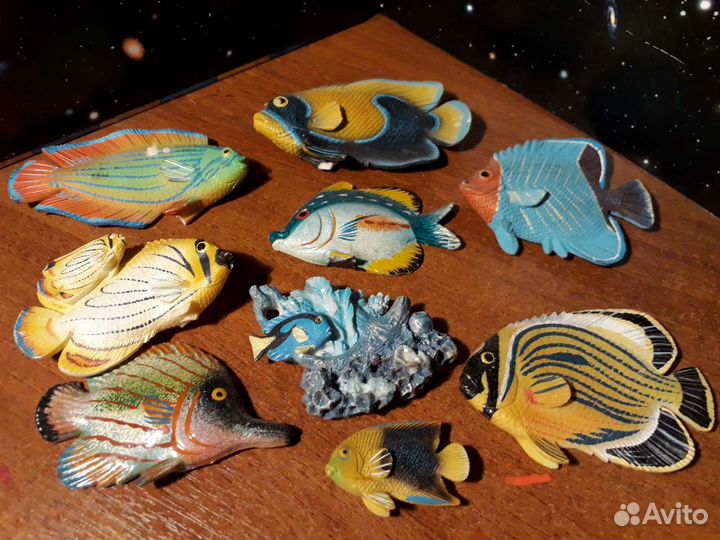 9 магнитов в форме рыбок